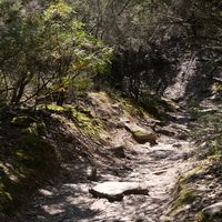 Photo de France - La randonnée du lac des Olivettes